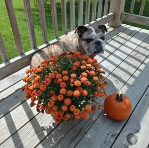 Meet your Posher, Angela